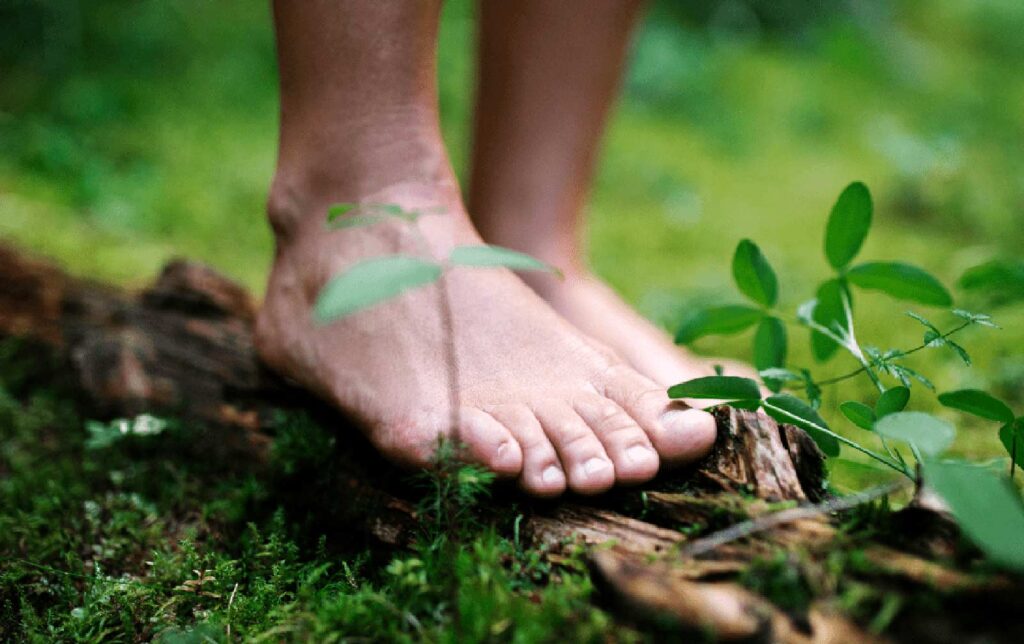 Marcher pieds nus dans la forêt pour se ressourcer et pour l'ancrage